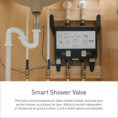 Moen TS3302TB U by Moen Digital Shower Controller and S3102 Valve 2-Outlet