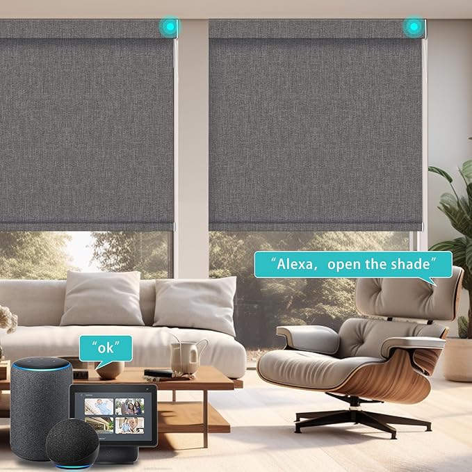 Changshade Smart Roller Shade with Remote Control Blackout Automatic Window Shades for Home Custom Size Motorized Blinds for Windows Compatible with Alexa,Google Home,Apple Homekit, Deep Grey