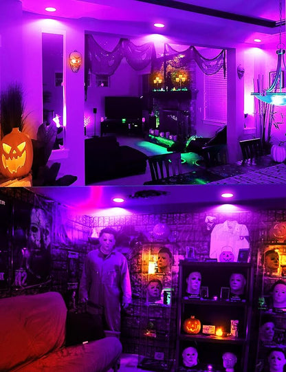 JandCase BR30 Halloween Light Bulbs, E26 Base Halloween Purple Indoor Flood Light Bulbs, 11W(65W Equivalent), Purple Flood Light Bulbs for Halloween Decoration,Not-Dimmable, 2 Pack