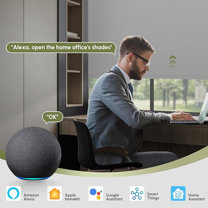 FineTell Motorized Blinds with Remote, 100% Blackout Roller Shades Compatible with Alexa,Apple Homekit,Google Home APP and Voice Control, Customized Electric Blinds (100% Blackout Pure Grey)