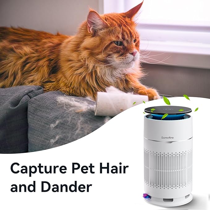 Cat Air Purifiers with HEPA Filter, Desktop Air Purifier with Replaceable Pre-Filter and Cat Teaser, 360° Air Intake Filters Pet Hair Dander Odors