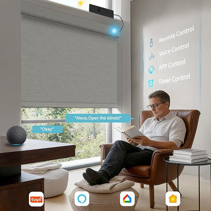 BERISSA Smart Motorized Blinds with Remote,No Drill Automatic Roller Blinds for Indoor Windows,Blackout Jacquard Fabric,Electric Shades for Windows Home Office,Jacquard Grey,Custom Size