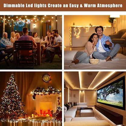 180W Dimmable LED Driver 12V with Junction Box,Triac ELV/MLV LED Transformer Compatible with Lutron&Leviton Switches,Dimmable Led Power Supply for Indoor/Outdoor Lights,UL&FCC-Listed
