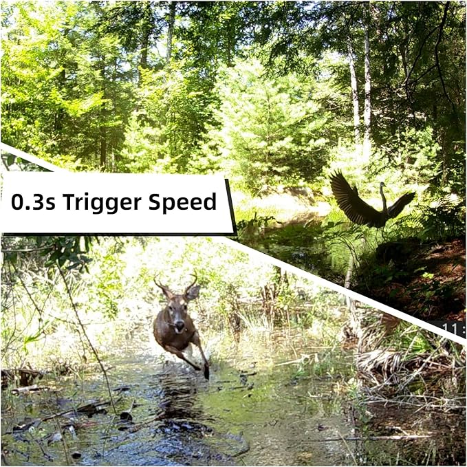 WOSODA 2 Pack Trail Cameras with Night Vision Motion Activated Waterproof,30MP Game Camera,1080P HD Trail Cam with SD Card for Wildlife Monitoring,Outdoor Scouting & Security