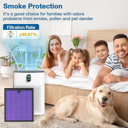 2 Pack HY4866 Replacement Filters for MORENTO/WESTHEY HY4866 Air Purifier and YIOU M1 Air Purifier, 3-in-1 H13 True HEPA Filter High-Efficiency Activated Carbon Filter, Multifunction Version