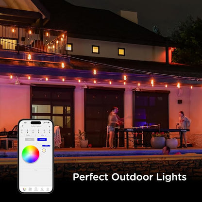 Enbrighten Vintage Outdoor String Lights, 48ft, 24 Bulbs, Smart (Pack of 2)