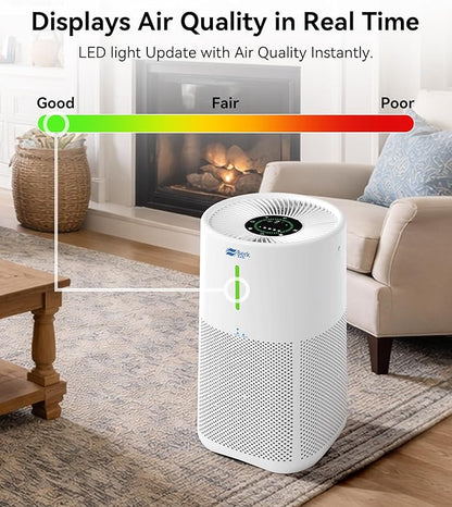 Berk Air Purifiers for Home Living Room,Cover Up to 1625 Ft²,HEPA Air Purifier,PM2.5 Air Quality Display,Air Purifier for Pets Hair, Smoke, Odors,Pollen (D3S-Standard)