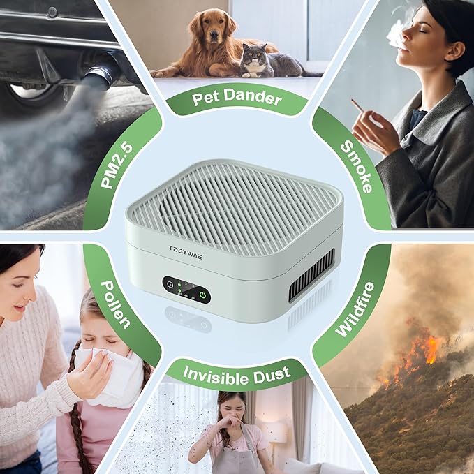 Air Purifiers for Home+ Air Purifier TDBYWAE Air Purifiers for Home Bedroom
