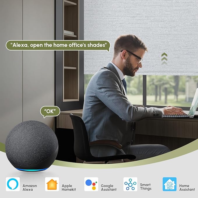 FineTell Motorized Blinds with Remote, 100% Blackout Roller Shades Compatible with Alexa,Apple Homekit,Google Home APP and Voice Control, Customized Electric Blinds (100% Blackout Elegant Light Grey)