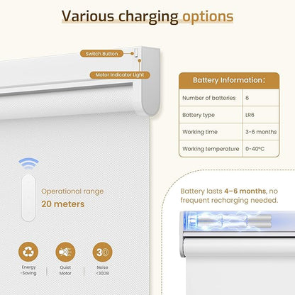 Grandekor Motorized Roller Shade with Remote Control,Motorized Blinds 100% Blackout Electric Shades, Cordless Window Blinds Shades for Bedroom Living Room Office,White,W34 xH72