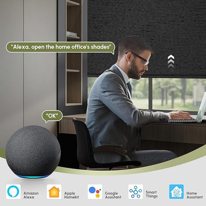 FineTell Motorized Blinds with Remote, 100% Blackout Roller Shades Work with Alexa,Apple Homekit,Google Home APP and Voice Control, Customized Electric Blinds (100% Blackout Eclipse Obsidian Black)