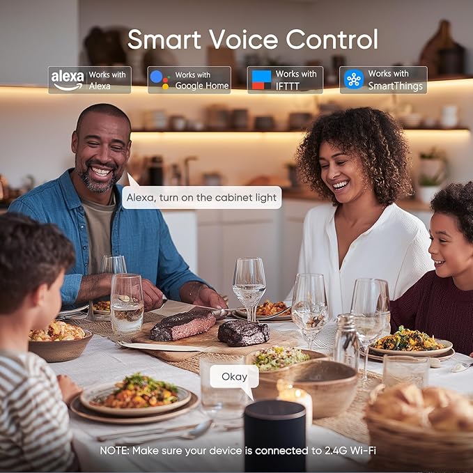 VST CCT LED Strip Controller, 2.4GHz WiFi Remote Control, Voice Control via Alexa & Google Assistant, App Control (Tuya), Touch Dimmer for Brightness & Color Temperature, 12V/24V 5A (Max 60W/120W)