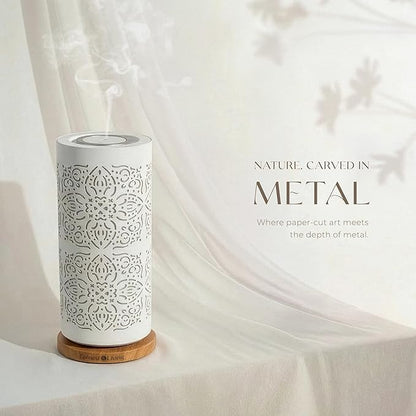 Earnest Living Waterless Diffuser 100ml Nebulizing Diffusion System for Large Ambient Space Studio Home Office Hotel Spa