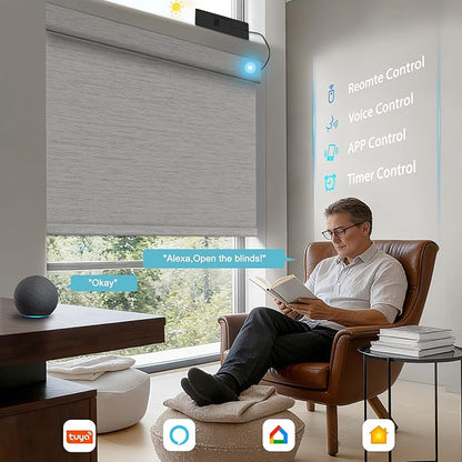 BERISSA Smart Motorized Blinds with Remote,No Drill Automatic Roller Blinds for Indoor Windows,Blackout Jacquard Fabric,Electric Shades for Windows Home Office,Jacquard Black White,Custom Size