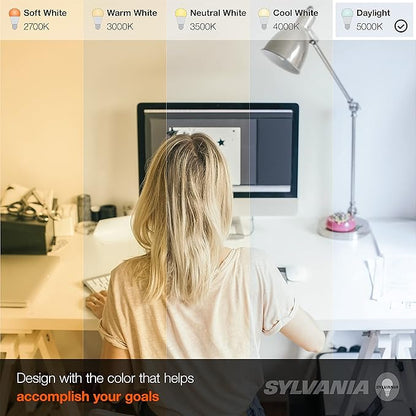 Sylvania LED Light Bulb, 60W Equivalent A19, Efficient 8.5W, Medium Base, Frosted Finish, 800 Lumens, Daylight - 2 Pack (79282)