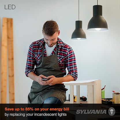 Sylvania LED A19 Light Bulb, 75W Equivalent, Efficient 12W, Medium Base, Frosted Finish, 1100 Lumens, 5000K, Daylight - 4 Pack (78100)