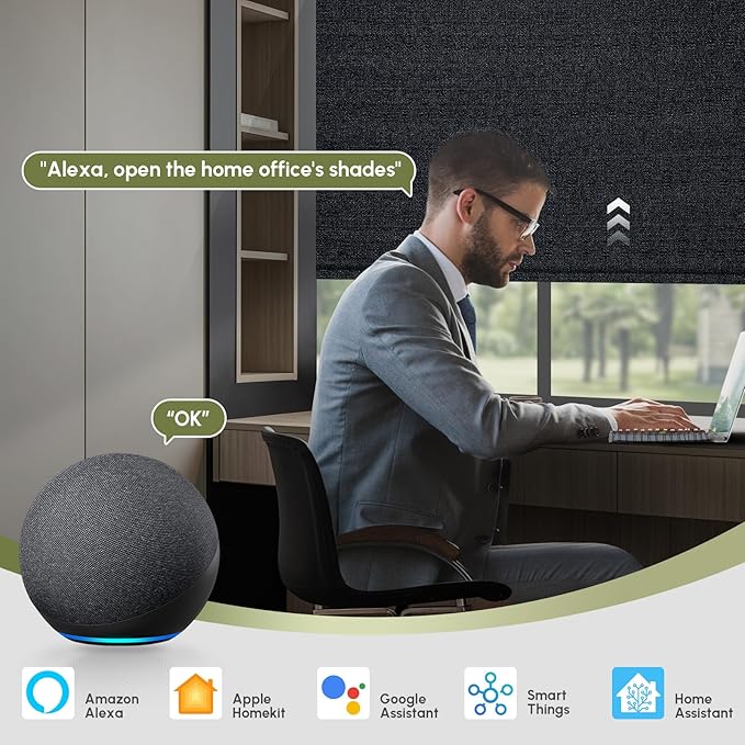 FineTell Motorized Blinds with Remote, 100% Blackout Roller Shades Compatible with Alexa,Apple Homekit,Google Home APP and Voice Control, Customized Electric Blinds (100% Blackout Eclipse Onyx Black)