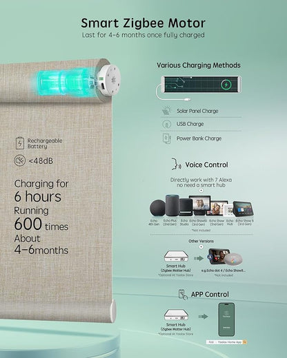Yoolax Smart Coupled Roller Shades Compatible with Alexa Google, Motorized Blinds with Remote Blackout Coupled Roller Shades for X-Large Windows, Custom Size (XL Coupled-Beige)