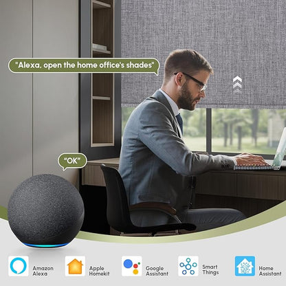 FineTell Motorized Blinds with Remote, 100% Blackout Roller Shades Work with Alexa,Apple Homekit,Google Home APP and Voice Control, Customized Electric Blinds (100% Blackout Dual Sided Dark Grey)