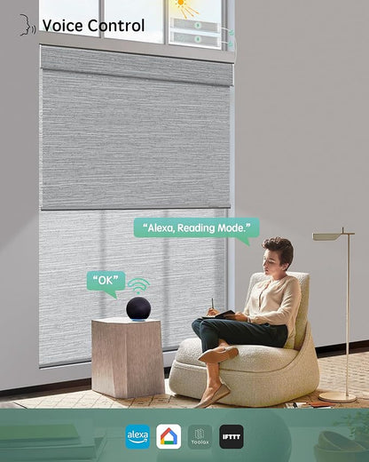 Yoolax Smart Dual Roller Shades, Motorized Blinds with Remote Smart Blinds Compatible with Alexa, Automatic Dual Shades for Windows Bedroom Living Room (Foggy Grey)