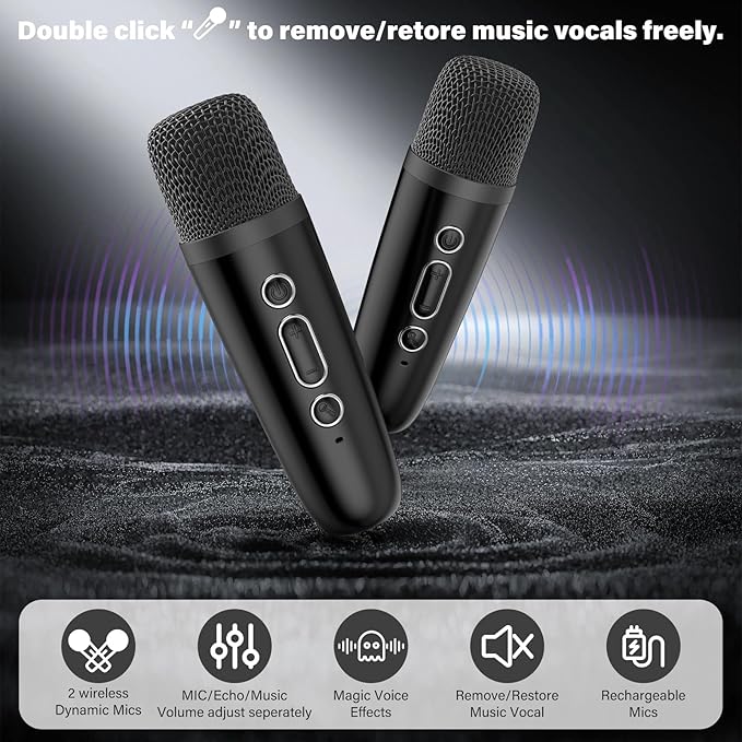 HWWR Karaoke Machine, Mini Bluetooth Speaker with 2 Wireless Microphones, Disco Lights Karaoke Home Party, Xmas Birthday Gifts for Singing