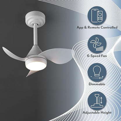OVAL AIR AIR8000B Albini 22" Contemporary Minimalist 6-Speed Metal Mobile-App/Remote-Controlled Dimmable Smart Integrated LED Ceiling Fan for Living Room, Bedroom, Office, Frost White