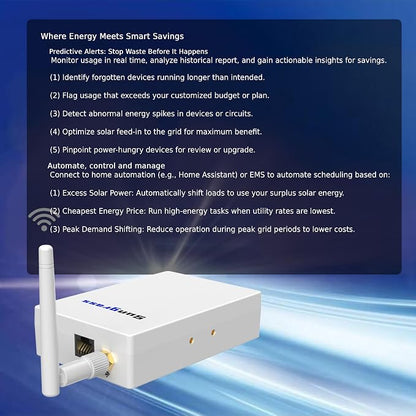 20 Circuit Home Energy Monitor,Real Time Electricity Usage & Power Consumption Meter, POWER & Energy Usage Monitor,PANEL Circuit Monitoring,Home Assistant Support,Electric Use Monitor