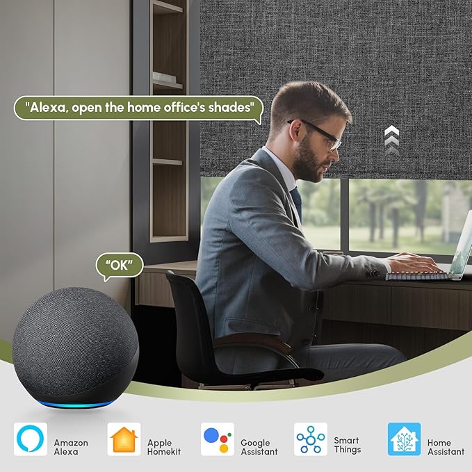 FineTell Motorized Blinds with Remote, 100% Blackout Roller Shades Compatible with Alexa,Apple Homekit,Google Home APP and Voice Control, Customized Electric Blinds (100% Blackout Dual Sided Black)