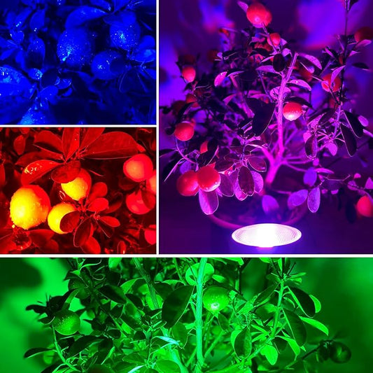 PAR38 Flood Light Bulbs,Remote Control 30W LED Color Changing Bulb,100W Equivalent Garden Lamps for Valentine's Day Home Party Decoration(RGB+Nature White)
