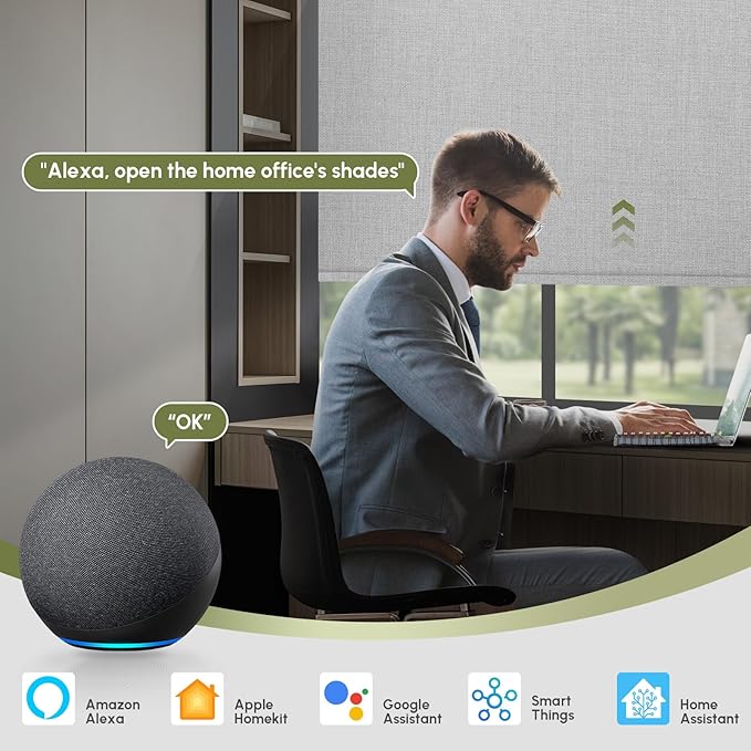FineTell Motorized Blinds with Remote, 100% Blackout Roller Shades Compatible with Alexa,Apple Homekit,Google Home APP and Voice Control, Customized Electric Blinds (100% Blackout Dual Sided Grey)