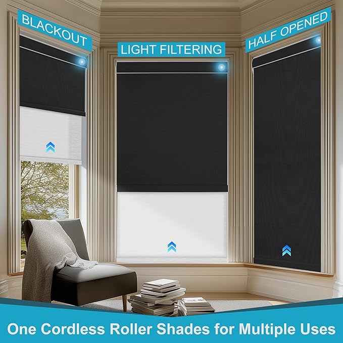 BERISSA Smart Motorized Dual Roller Shades with Remote,APP/Voice Control Blackout&Light Filtering Double Roller Blinds for Windows,Automatic Electric Shades with Solar Pannel.Custom Size