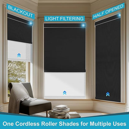 BERISSA Smart Motorized Dual Roller Shades with Remote,APP/Voice Control Blackout&Light Filtering Double Roller Blinds for Windows,Automatic Electric Shades with Solar Pannel.Custom Size