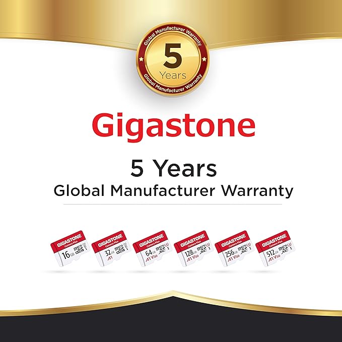 Gigastone 64GB Micro SD Card 2-Pack, Camera Plus, MicroSDXC Memory Card for Wyze Cam, Security Camera, Smartphone, Fire Tablet, 4K Video Recording, UHS-I U3 A1 V30, 95MB/s, with Adapter