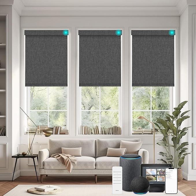 Changshade Smart Roller Shade with Remote Control Blackout Automatic Window Shades for Home Custom Size Motorized Blinds for Windows Compatible with Alexa,Google Home,Apple Homekit, Charcoal Grey