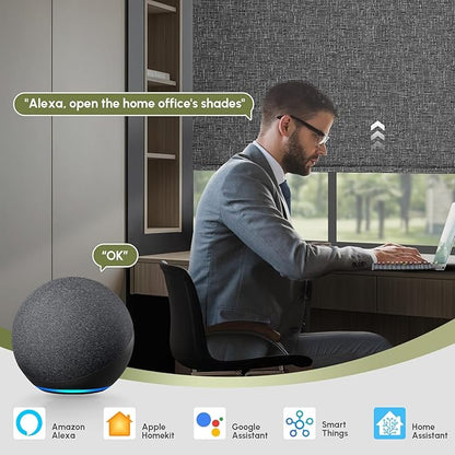 FineTell Motorized Blinds with Remote, 100% Blackout Roller Shades Compatible with Alexa,Apple Homekit,Google Home APP and Voice Control, Customized Electric Blinds (100% Blackout Classic Dark Grey)