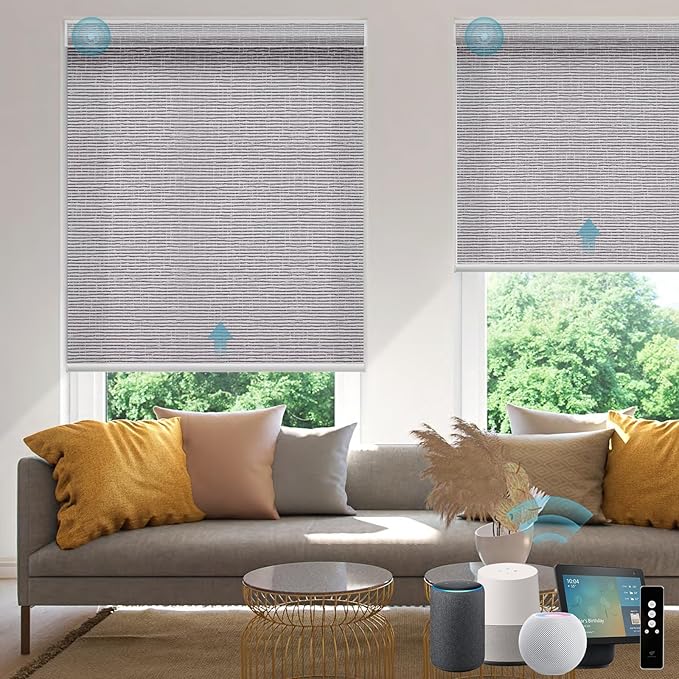 SmartWings Motorized Smart Roller Shades in Light Filtering, Electric Blinds with Remote for Windows Compatible with Alexa/Google Home/Homekit, Customized, Safari Translucent Rock Grey