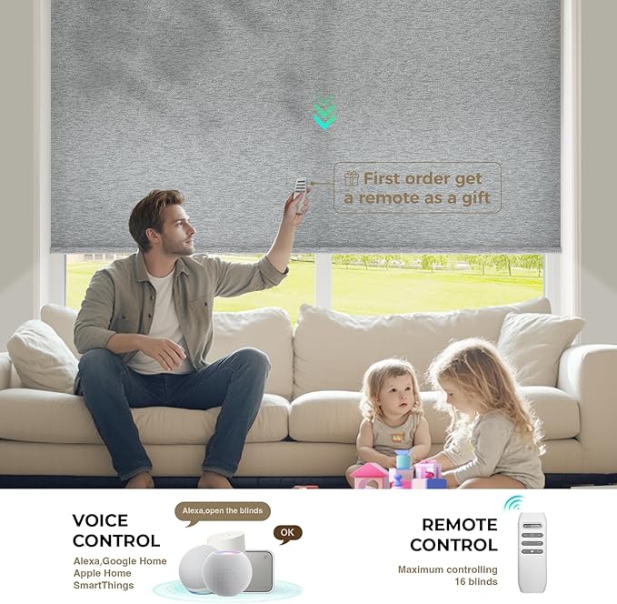 HeyBlinds Motorized Blinds with Remote, Smart Roller Shades with App & Voice Control, Work with Alexa Google HomeKit, Light Filtering Custom Shades for Living Room Office (Silver Lining-Misty Grey LF)