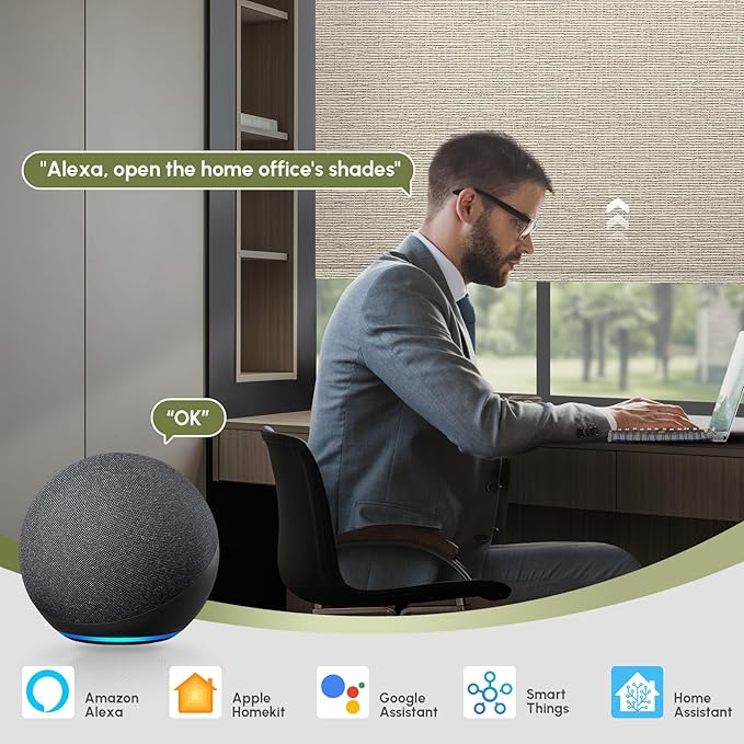 FineTell Motorized Blinds with Remote, 100% Blackout Roller Shades Compatible with Alexa,Apple Homekit,Google Home APP and Voice Control, Customized Electric Blinds (100% Blackout Classic Sandy)