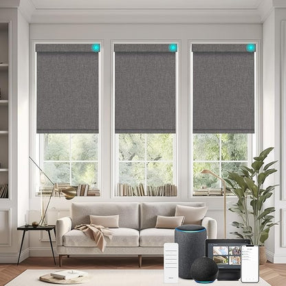 Changshade Smart Roller Shade with Remote Control Blackout Automatic Window Shades for Home Custom Size Motorized Blinds for Windows Compatible with Alexa,Google Home,Apple Homekit, Deep Grey