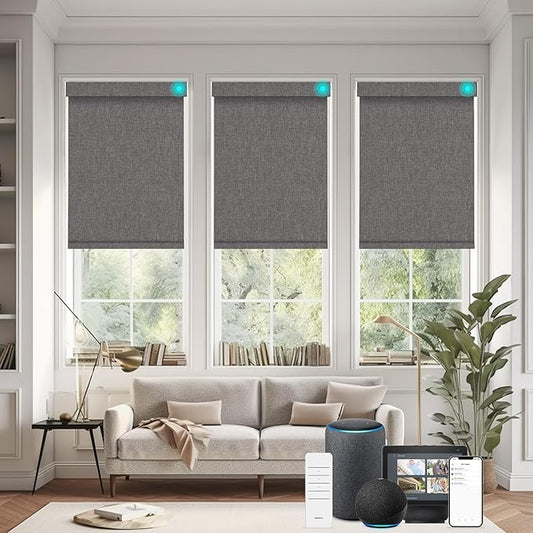 Changshade Smart Roller Shade with Remote Control Blackout Automatic Window Shades for Home Custom Size Motorized Blinds for Windows Compatible with Alexa,Google Home,Apple Homekit, Deep Grey