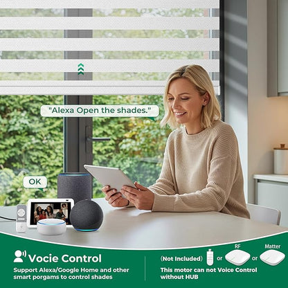 Allesin No Drill Motorized Zebra Shades with Remote Control, Light Filtering Smart Blinds for Apartments & Rentals – Compatible with Alexa, Automatic Day/Night Adjustment (Customize Color Size)