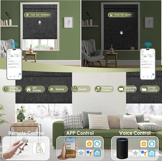 FineTell Motorized Blinds with Remote, 100% Blackout Roller Shades Compatible with Alexa,Apple Homekit,Google Home APP and Voice Control, Customized Electric Blinds (100% Blackout Dual Sided Black)