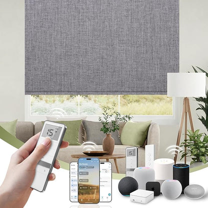 FineTell Motorized Blinds with Remote, 100% Blackout Roller Shades Work with Alexa,Apple Homekit,Google Home APP and Voice Control, Customized Electric Blinds (100% Blackout Dual Sided Dark Grey)