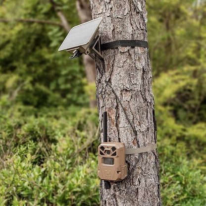 Moultrie Edge 2 Pro Cellular Trail Camera - Auto Connect Nationwide 4G LTE - On Demand 40MP Photo - 1440P Video with HD Audio - Ai False Trigger Elimination - 100 Ft Detection Range - No-Glow Flash