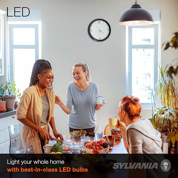 Sylvania LED Light Bulb, A19, 100W Equivalent, Efficient 16W, 13 Year, Medium Base, Dimmable, Frosted, 2700K, Soft White - 4 Pack (40737)