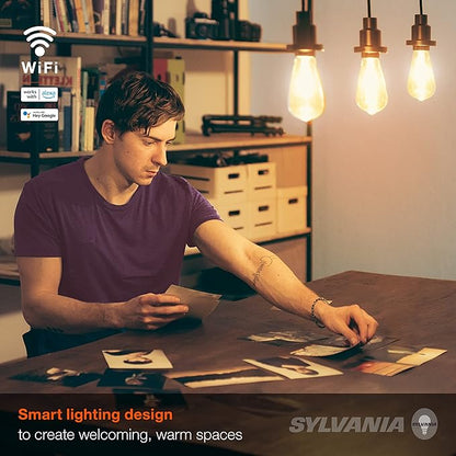 Sylvania WiFi LED Smart ST19 Amber Finish Light Bulb, 3.5W Efficient, for Alexa/Google Assistant, 2000K, No Hub Required - 1 Pack (75802)