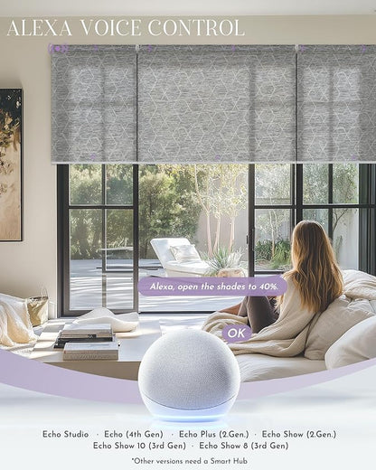Graywind Smart Coupled Roller Shades Compatible with Alexa Google Custom Size Extra Large Motorized Blinds for Windows(1% Openess Geometry Grey)