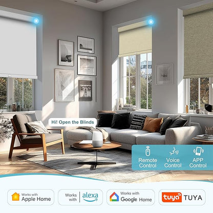 BERISSA NO Drill Smart Motorized Blinds with Remote,APP/Voice Control Automatic Roller Shades for Indoor Windows,Blackout&Light Filtering Rechargeable Electric Blinds for Home,Office,Custom Size