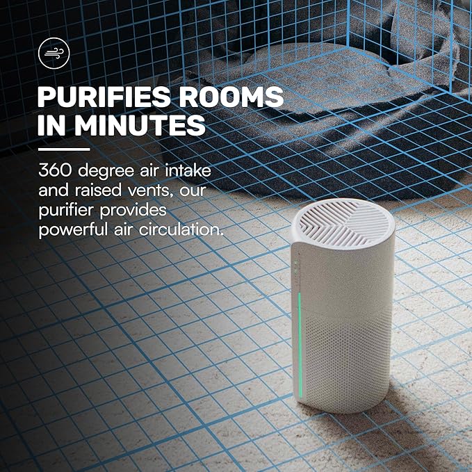 Raycon Room Air Purifier, H13 Replaceable HEPA Filter, Air Quality LED Indicator, Adjustable Fan Speeds, Home Essentials (White)
