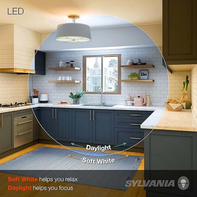 Sylvania LED A19 Light Bulb, 100W Equivalent, Efficient 14W, 1500 Lumens, Frosted Finish, Daylight - 4 Pack (78103)